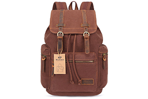 best leather backpack purse